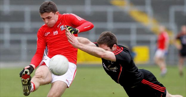 Mark Collins clears the ball as Down's Aidan Carr tries to block during Cork's win in Division One