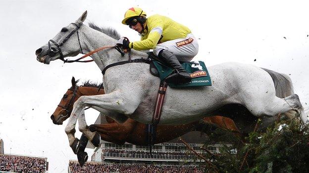 Neptune Collonges won the 2012 Grand National