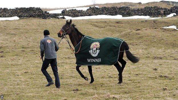 Grand National winner Auroras Encore takes a stroll with assistant trainer Ryan Clavin