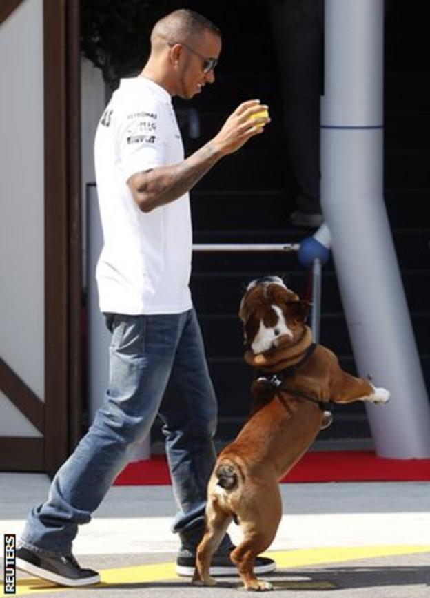 Lewis Hamilton and pet dog Roscoe at Monza