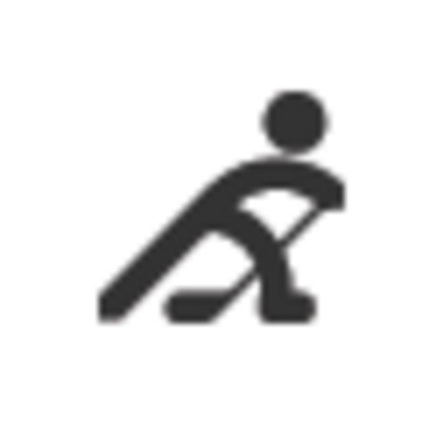 ice hockey