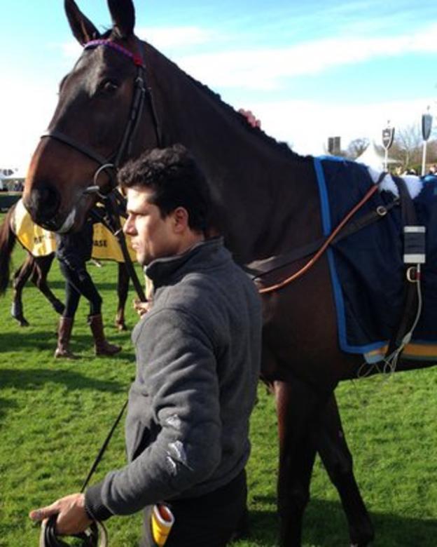 Sprinter Sacre, fitted with a heart monitor, in the Newbury parade ring