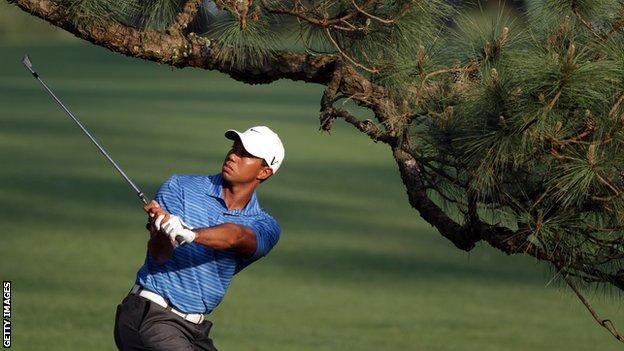 Tiger Woods and the Eisenhower Tree