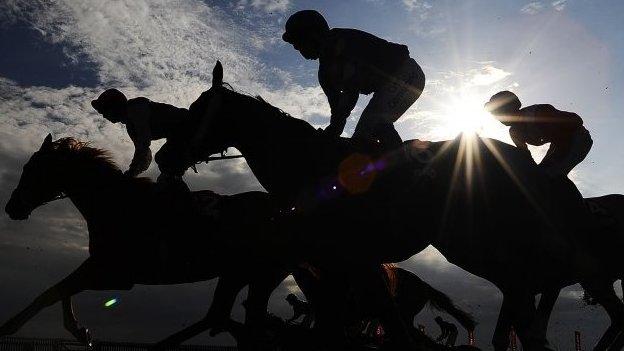 Horses silhouetted at racecourse
