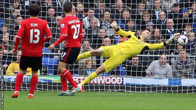 David Marshall in action against Everton