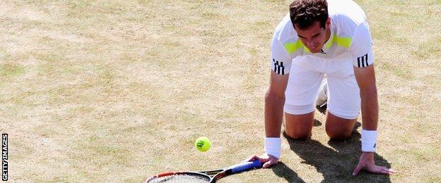 Andy Murray is on his knees as he loses to Radek Stepanek at Queen's