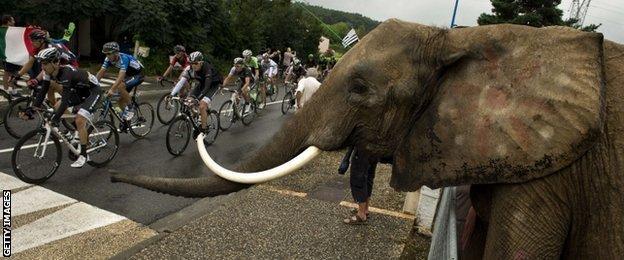 Not all of the spectators are bothered by the wet weather, however