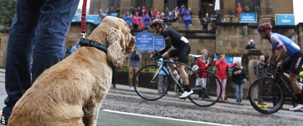 Mens' road race at Glasgow 2014