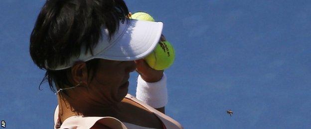 Kimiko Date-Krumm could not shake off the bee
