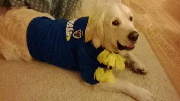 Willoughby the Wimbledon supporting dog