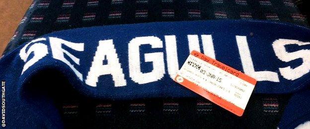 Seagulls scarf and train ticket