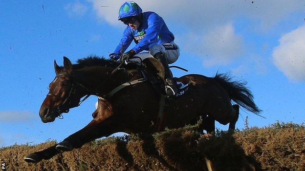 Hurricane Fly