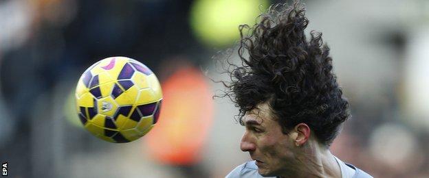 Newcastle United defender Fabricio Coloccini