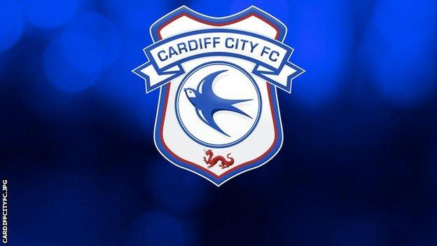 Detailed view of a Cardiff City badge during the Sky Bet