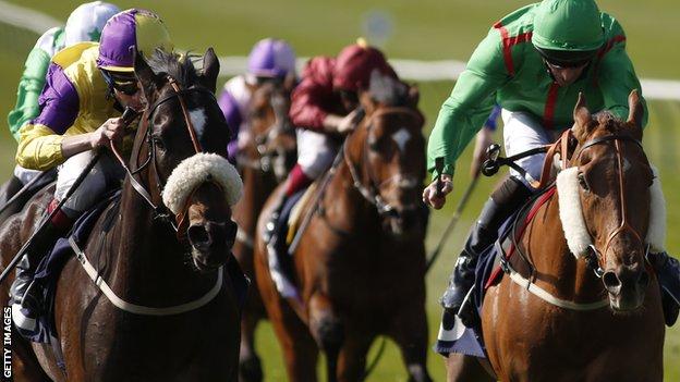Horses in action at Newmarket
