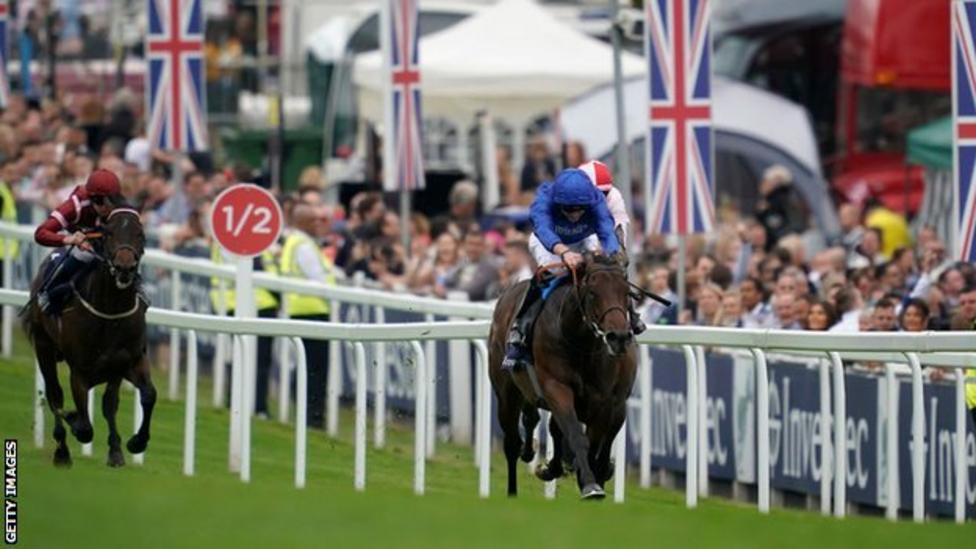 Pinatubo Godolphin horse rated best European juvenile since 1994