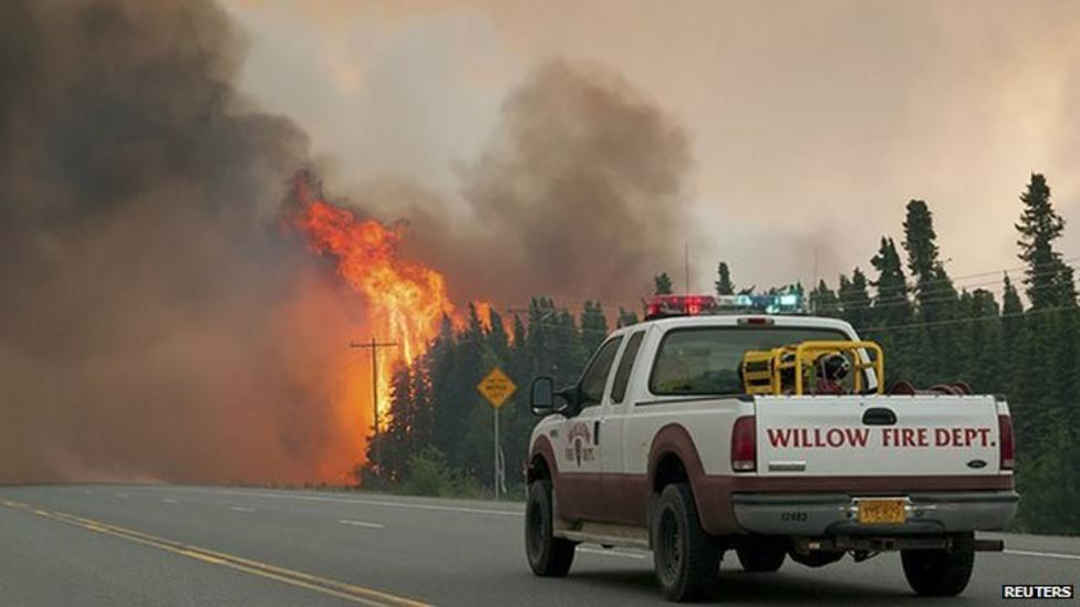 Rescuing dogs from Alaska wildfires
