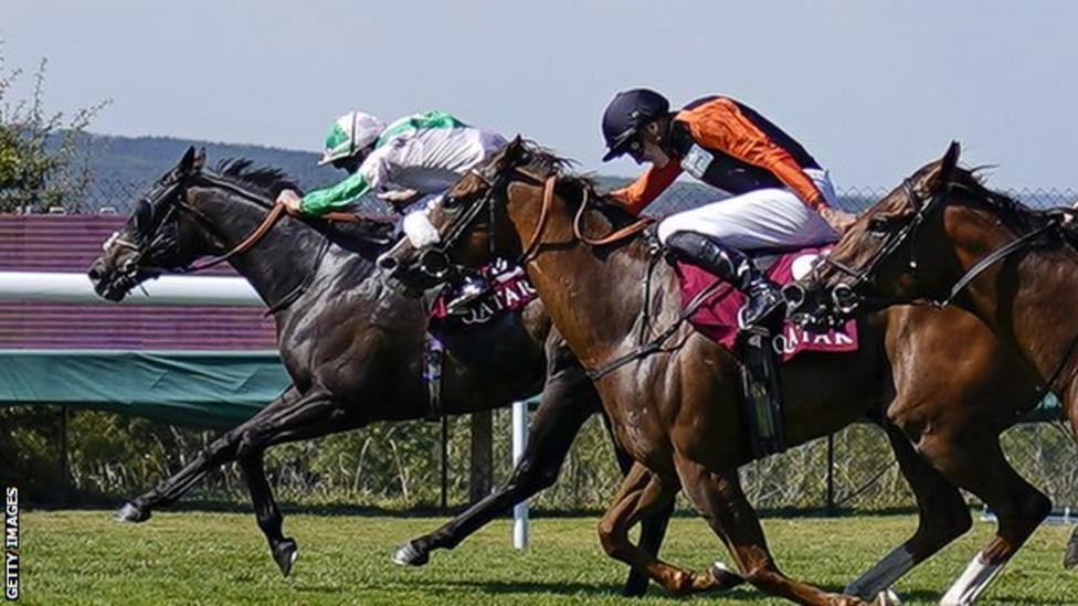 Racing Fixtures The Leading Resource On British Horse Racing With Racing Fixtures The Leading Resource On British Horse Racing With