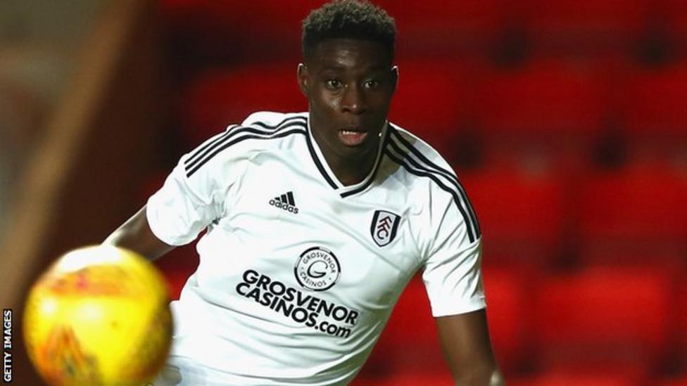 Elijah Adebayo: Fulham striker joins Cheltenham Town on loan - BBC Sport