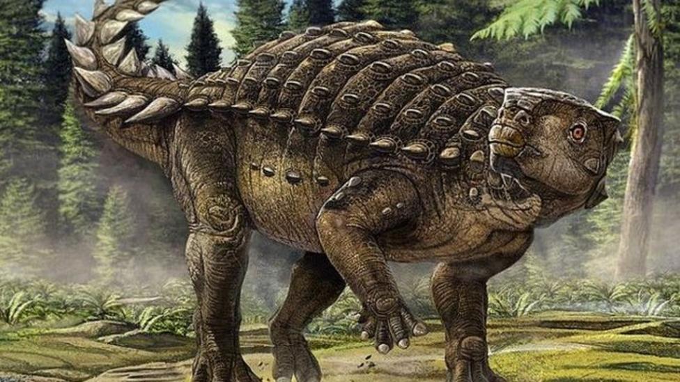 Parrot-turtle dinosaur discovered