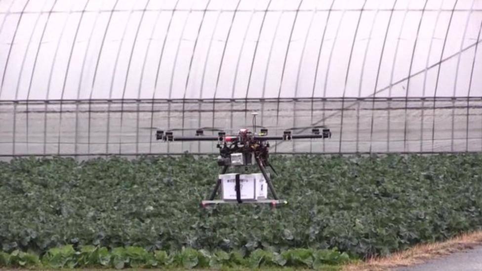 Drone delivers food to rural areas in Japan