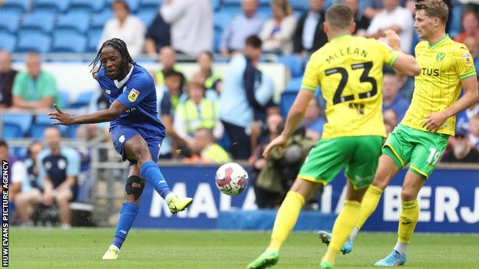 Cardiff City 1-0 Norwich City: Romaine Sawyers' debut goal gives 10-man ...