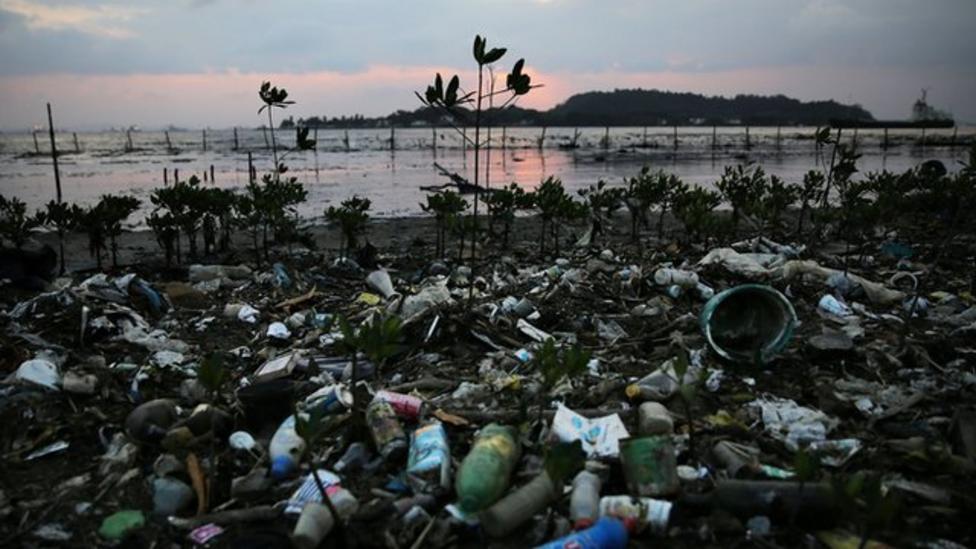 Rio's race to clean polluted water