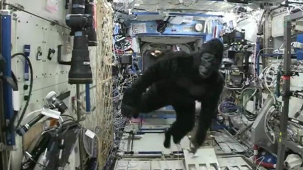 'Gorilla' chases Tim Peake on the ISS