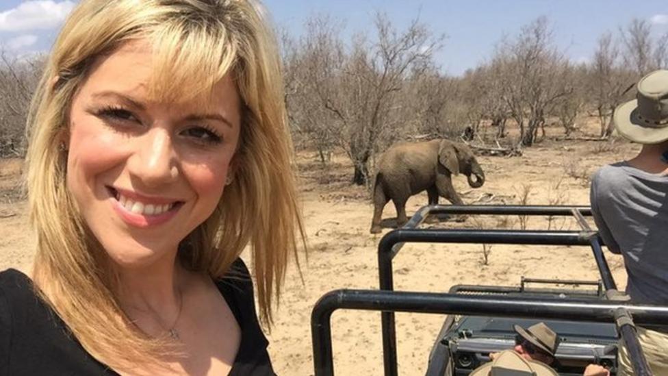 Saving Africa's elephants: What's being done? - CBBC Newsround