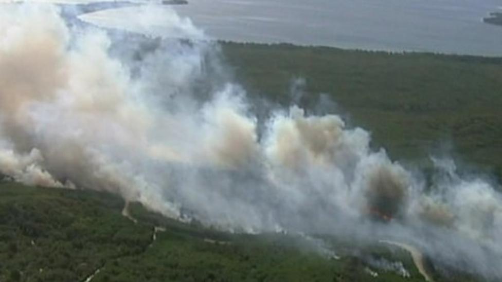 Video: Aussie heatwave sparks bushfires