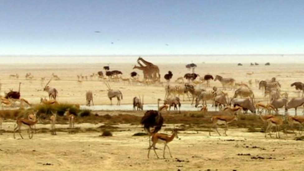 Africa VT - CBBC Newsround Africa VT - CBBC Newsround