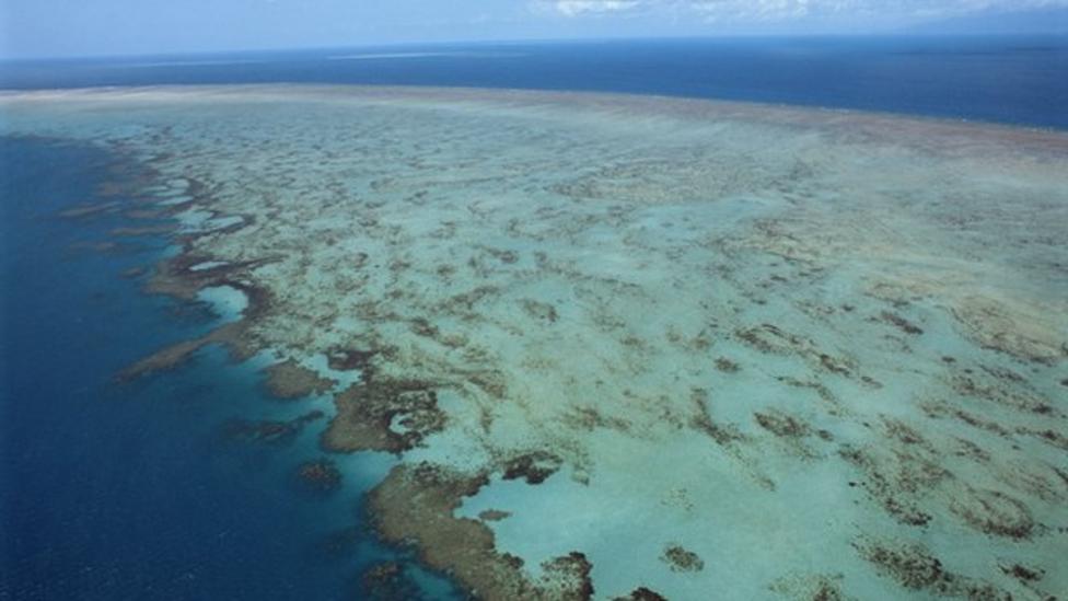 Nel's oceans report - CBBC Newsround