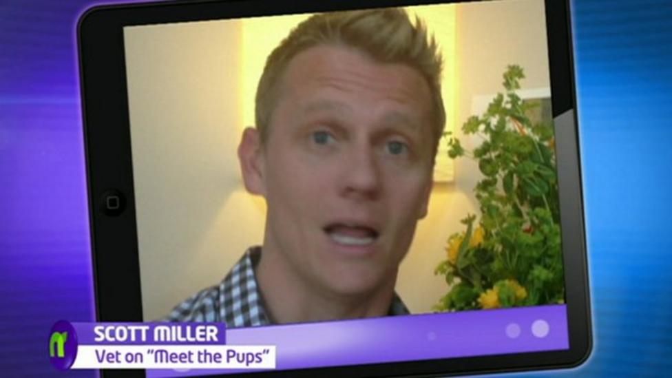 Top Tips From Meet The Pups Vet Dr Scott Miller Cbbc Newsround