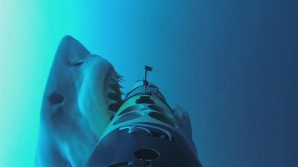 Shark attacks underwater camera