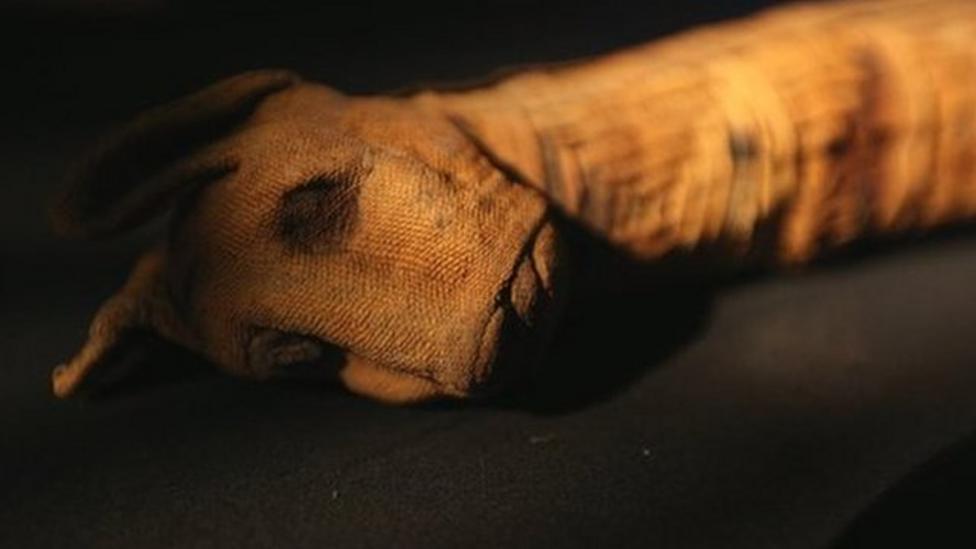 Animal mummy 'secret' revealed