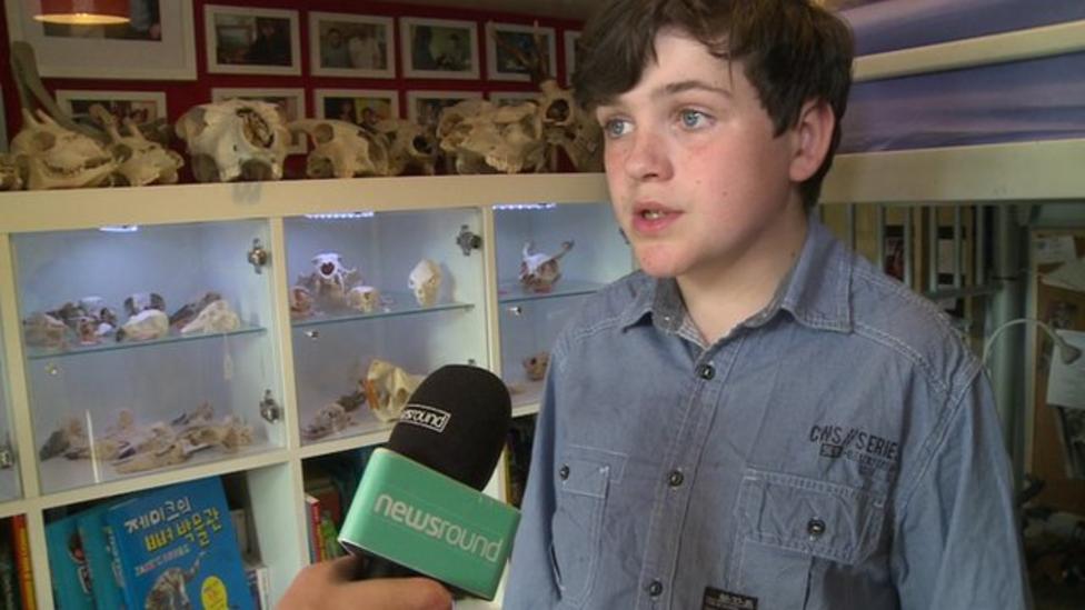 The boy who collects animal bones - CBBC Newsround The boy who collects animal bones - CBBC Newsround