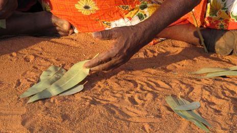 A Western Desert story-teller uses leaves as part of the narrative (Jennifer Green)