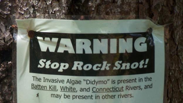 River users are told to help stop Didymo (credit: Andy Arthur CC BY 2.0)
