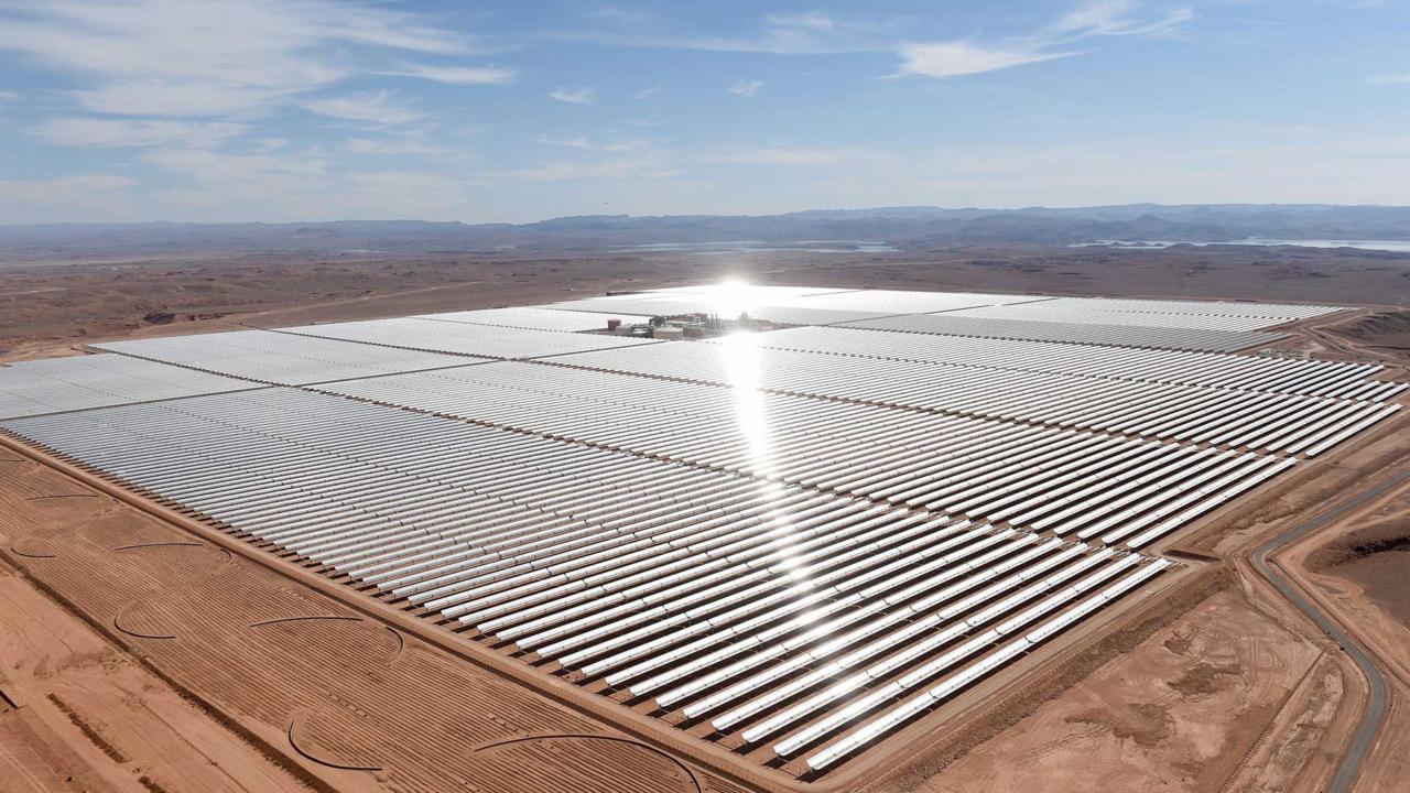 How localisation can solve climate change BBC Future