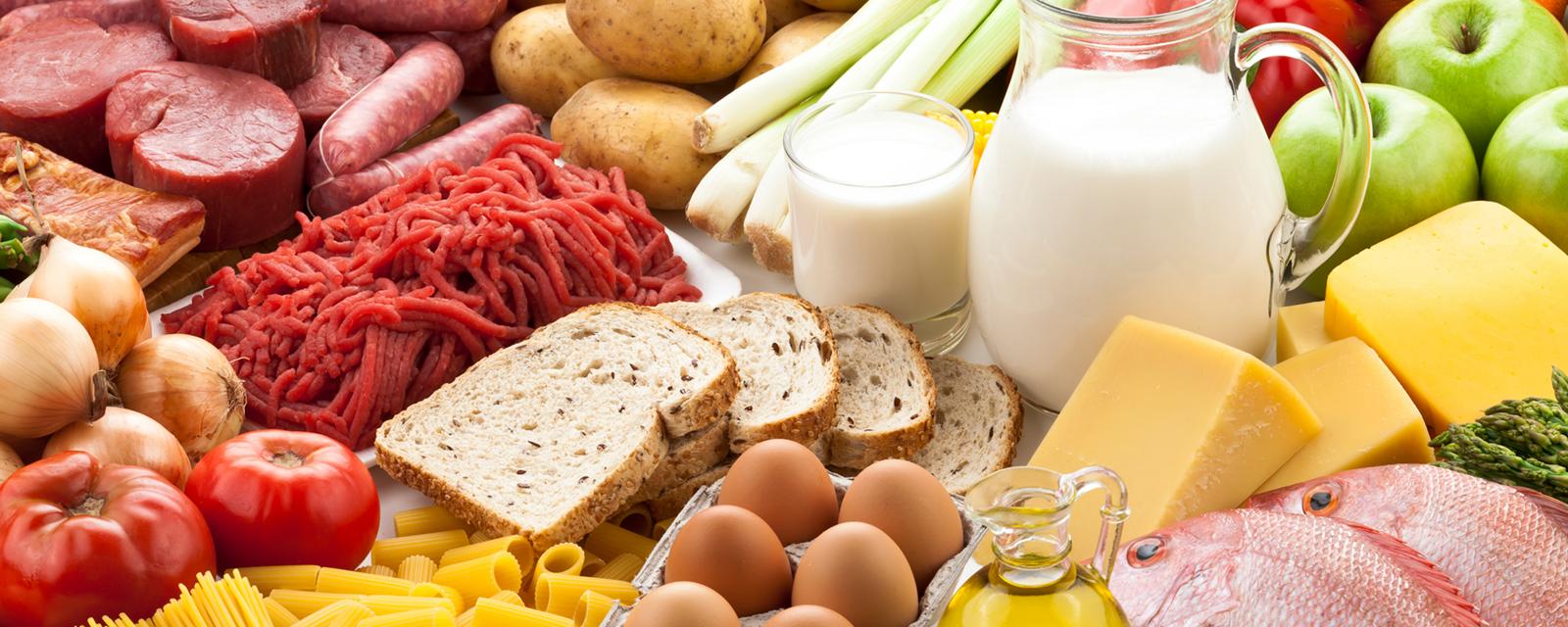 BEST FOOD TO SURVIVE ON Best Food To Survive On