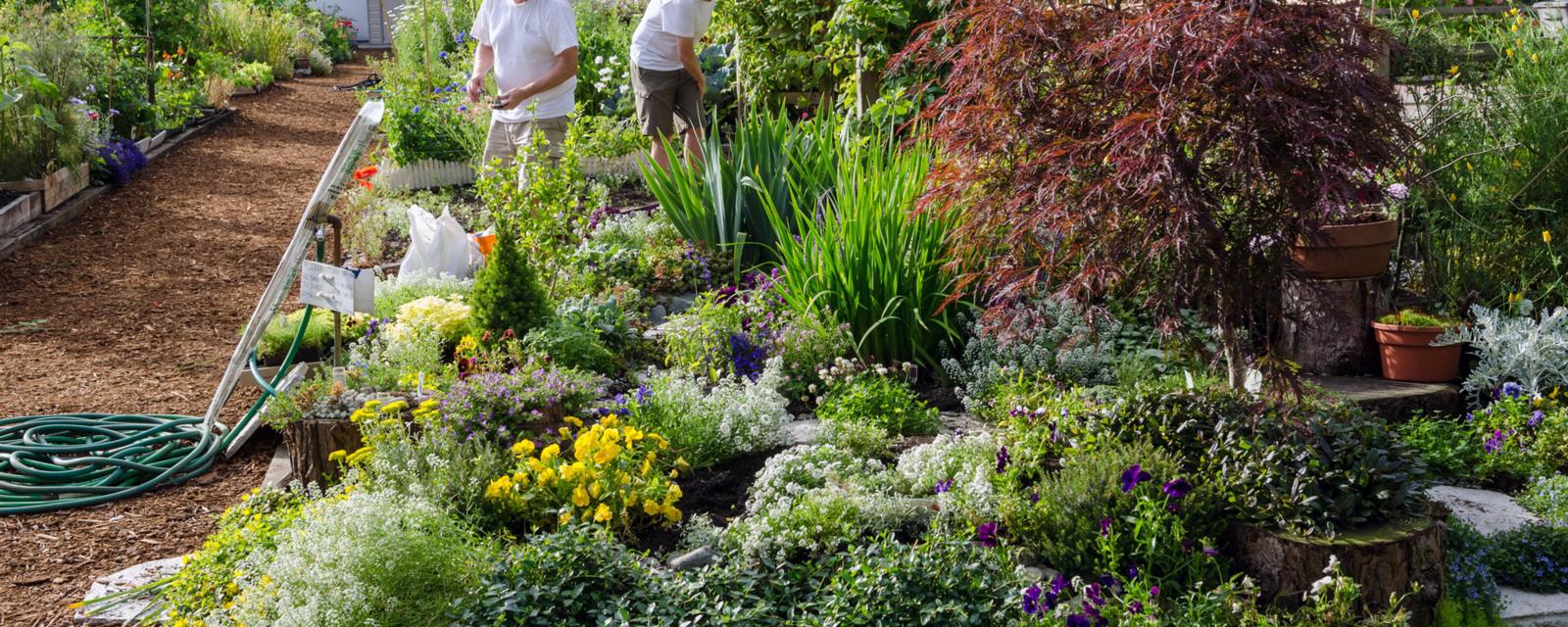 The Brains Secret Gardeners >> Gardening Could Be The Hobby That Helps You Live To 100 The Brains Secret Gardeners >> Gardening Could Be The Hobby That Helps You Live To 100