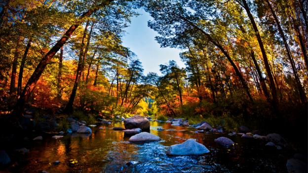 BBC - Travel - Autumn colours around the world