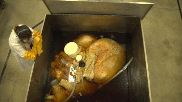 BBC - Earth - See the world's biggest heart