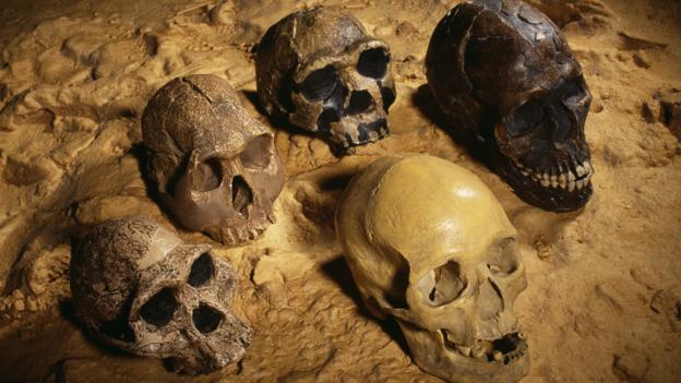 BBC - Earth - Why are we the only human species still alive?