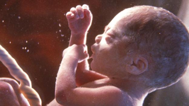 Bbc Earth Babies Start Learning Before They Are Even Born