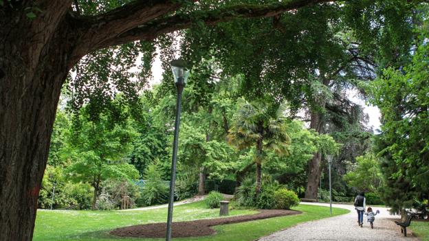 Bbc Future Why Plant Blindness Matters And What You