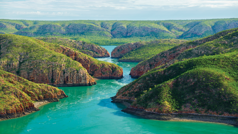 Broome4.PNG