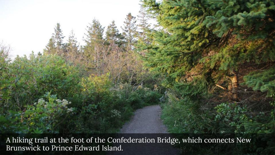 15 Hiking Trail