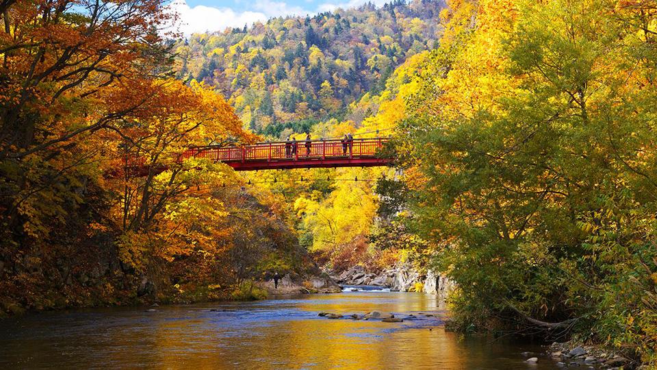 The cascading colours of Sapporo in autumn.