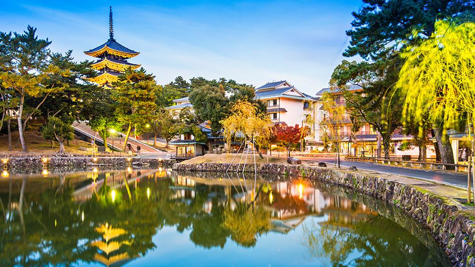 Nara’s picturesque gardens and temples.